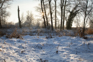Fotografie Krist Hooghe Kalender Menen Januari Sneeuwlandschap