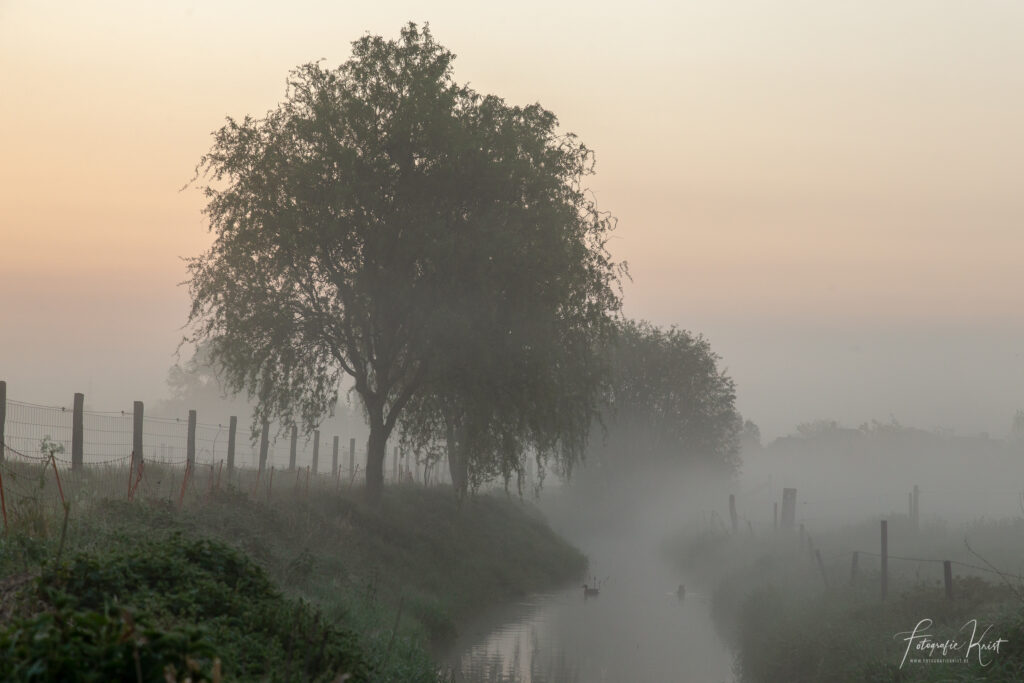 Menen - ogenblikken voor zonsopkomst