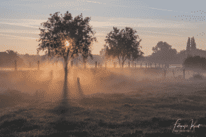 de warmste kalender 2020 - Menen zonsopkomst op het veld