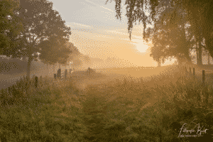 de warmste kalender 2020 - Menen Leiemeersen natuurpunt