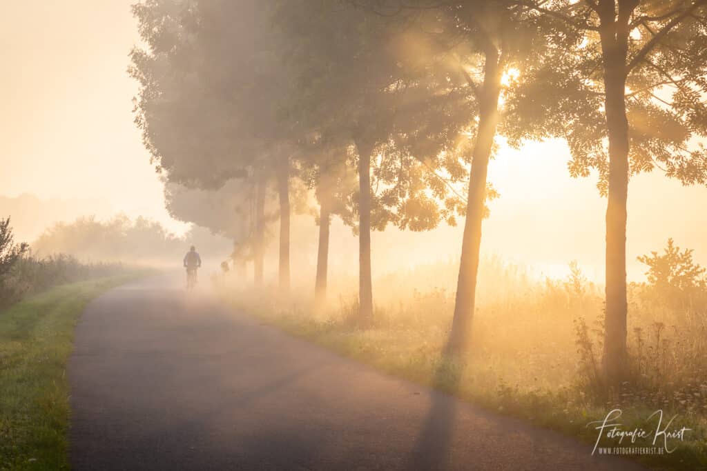 Een fietser doorklieft het laagje mist op het jaagpad langs de leie in Lauwe