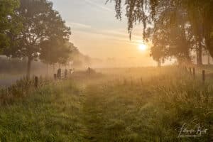 Sfeervolle zonsopkomst op de leiemeersen aan de oevers van de leie in Lauwe