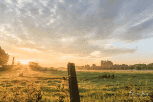 de warmste kalender 2020 - Zonsopkomst lang de leie in Wevelgem Lauwe