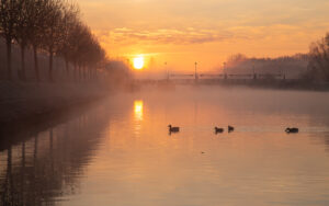 Zonsopkomst langs de Leie te Menen