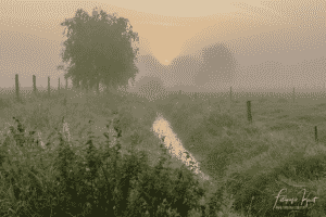 de warmste kalender 2020 - Zonsopkomst lang de leie in Wevelgem Lauwe