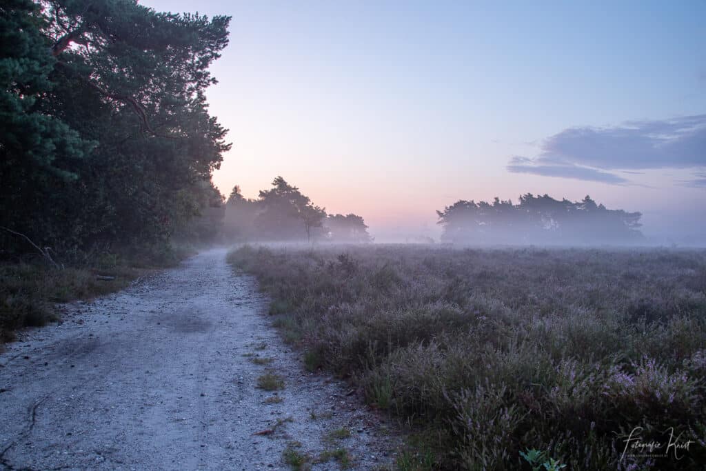 de Teuts tijdens de zonsopkomst, limburg, belgie, Belgium