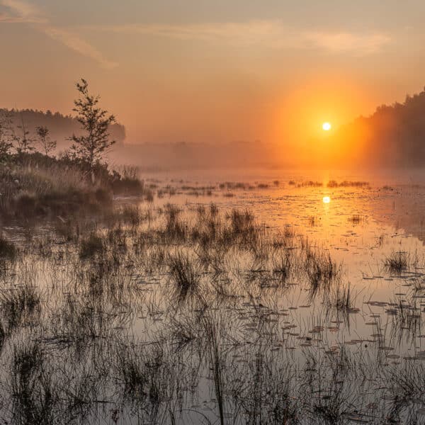 sfeervolle zonsopkomst aan de teut in zonhoven
