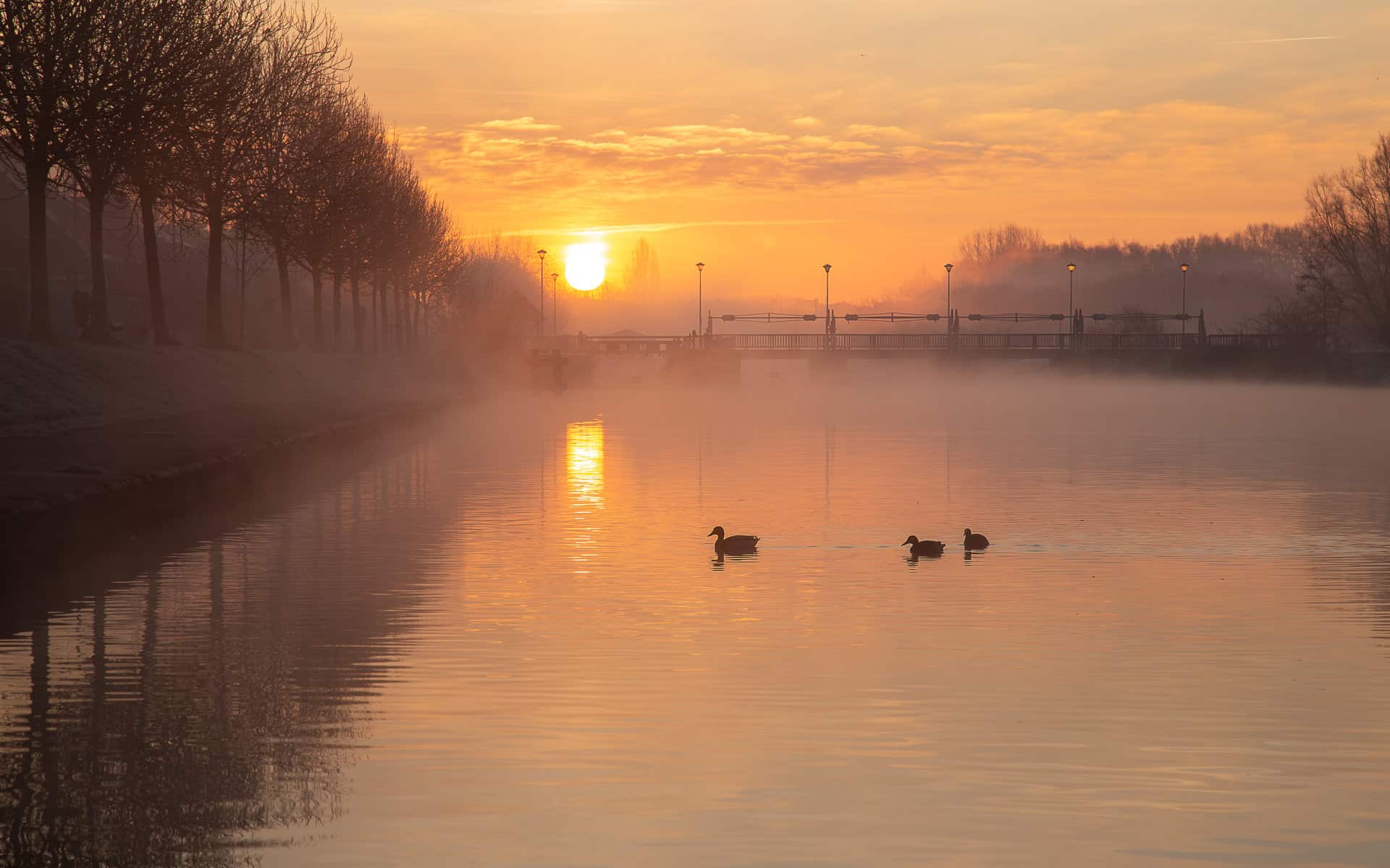 Sfeervolle zonsopkomst langs de Leie  aan de oude sluizenkaai in Menen