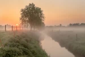 Een-mistige-ochtend-in-het-veld-te-Menen-Vlaamse-Velden