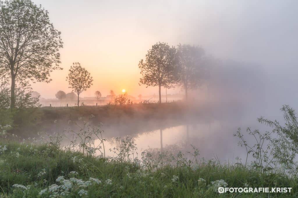 zonsopkomst boven de velden in Wevelgem