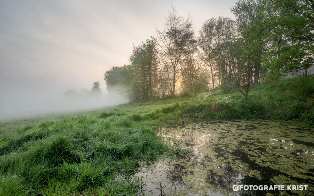 zonsopkomst op de Leiemeersen te Lauwe