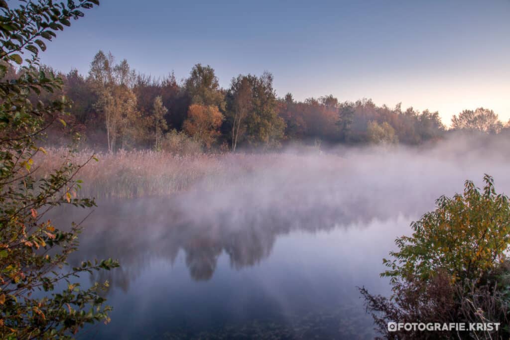 Mistige-Zonsopkomst-in-provinciedomein-Bergelen-te-Gullegem