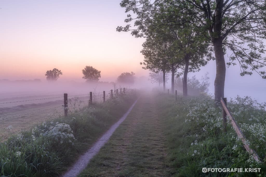 Mistige ochtend langs de Leie in Wevelgem