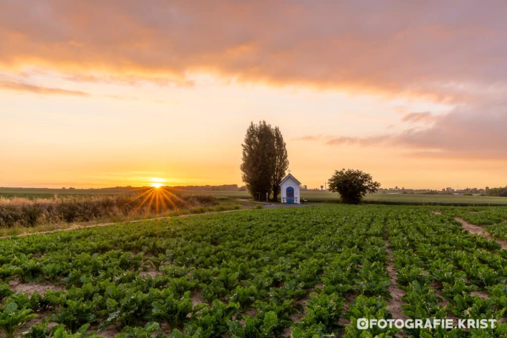 Tonte Kapel op hoog Kortrijk