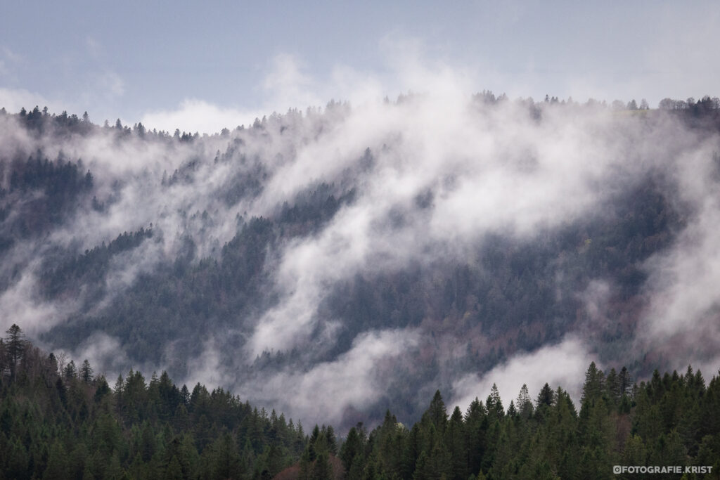 Refuge du Sotré - Hohneck - Xonrupt-Longemer - Vosges