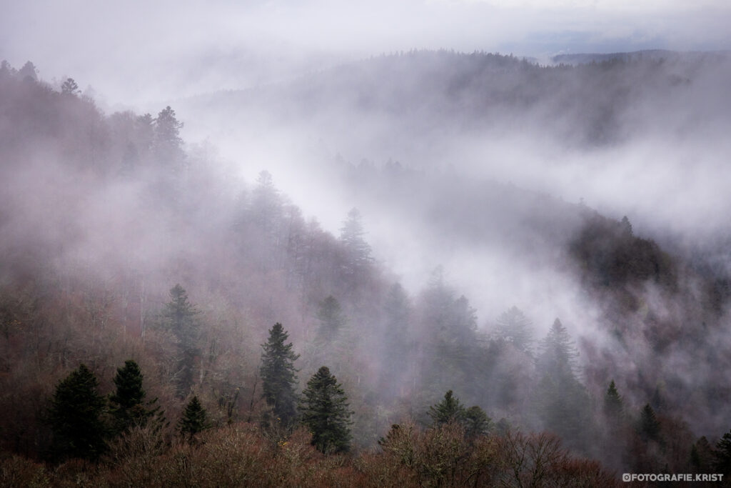 Refuge du Sotré - Hohneck - Xonrupt-Longemer - Vosges