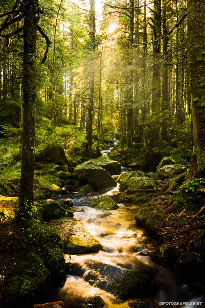 Cascade de Mérelle - Gérardmer - Vosges - France